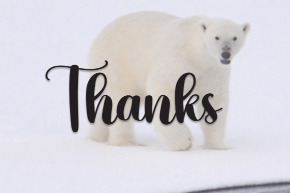 Bear Font - Preview 4