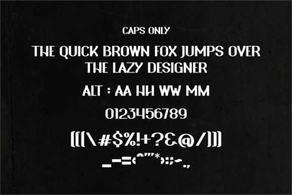 Akira Monoletter Font - Preview 1