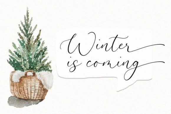 Auretta Font - Preview 4