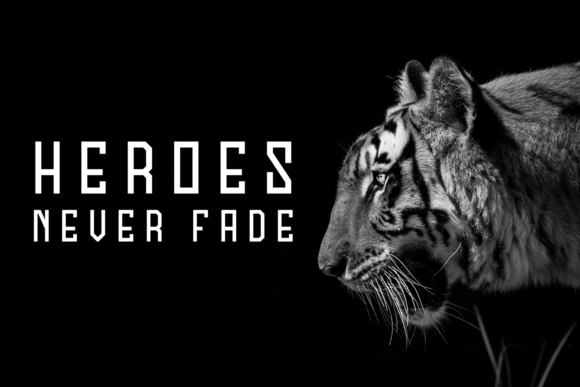 Badige Font - Preview 2