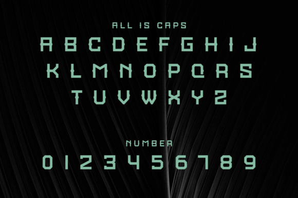 Bahkire Font - Preview 1