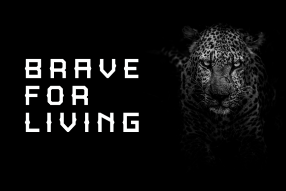 Bahkire Font - Preview 2