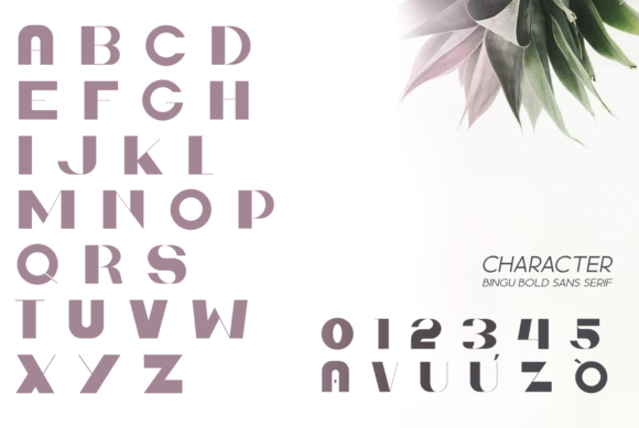 Bingu Font - Preview 2