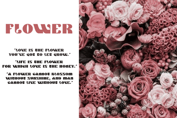 Clefont Font - Preview 1