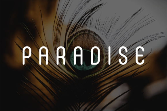 Dabora Font - Preview 2