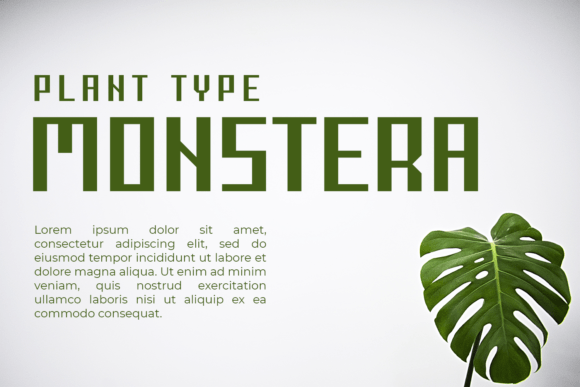 Flawren Font - Preview 2