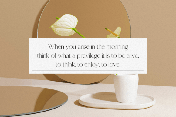 Magashine Font PNG with transparent background - Preview 5