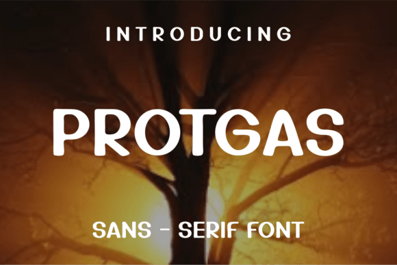 Protgas Sans Serif Font By lelevien