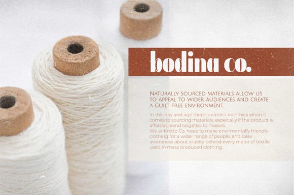 Bodina Font - Preview 4