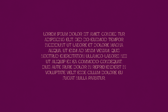 Allegra Font - Preview 2