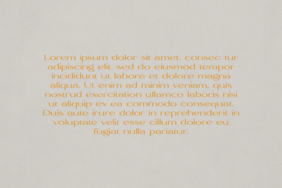 Amice Font - Preview 2