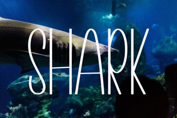 Aquarium Font - Preview 2