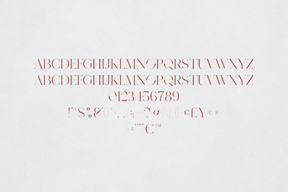Ashina Font - Preview 1