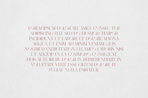 Ashina Font - Preview 2
