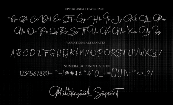Asteria Signature Font - Preview 4