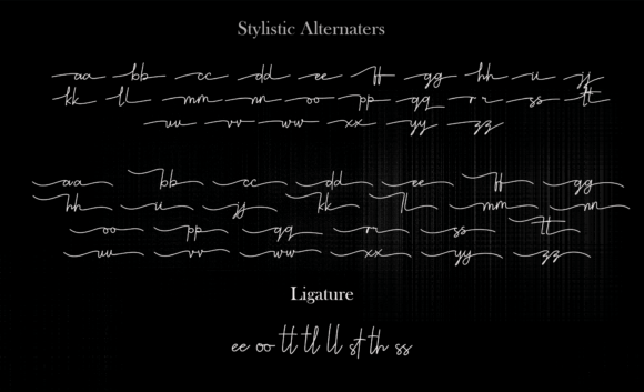Asteria Signature Font - Preview 5