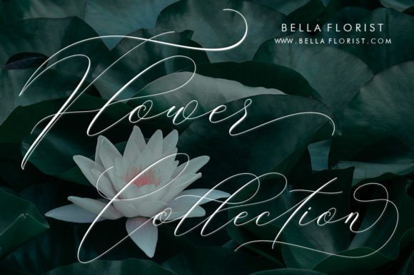 Beautiful in White Font - Preview 5