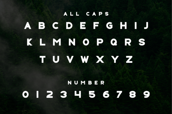 Bolreta Font - Preview 2