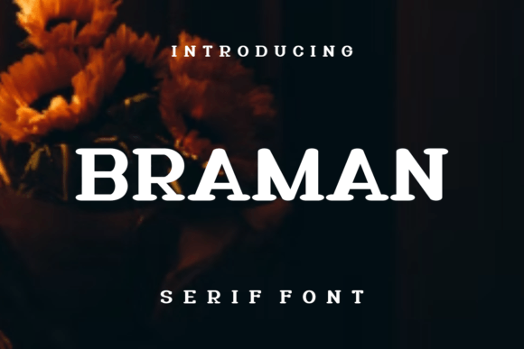 Braman Serif Font By lelevien