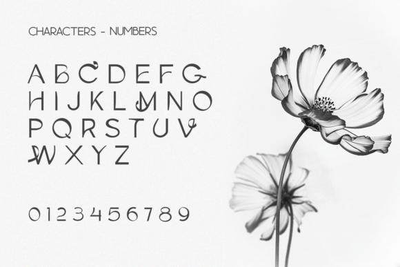 Brokendi Font - Preview 1