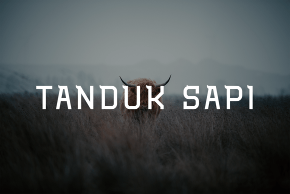 Bulron Font - Preview 2
