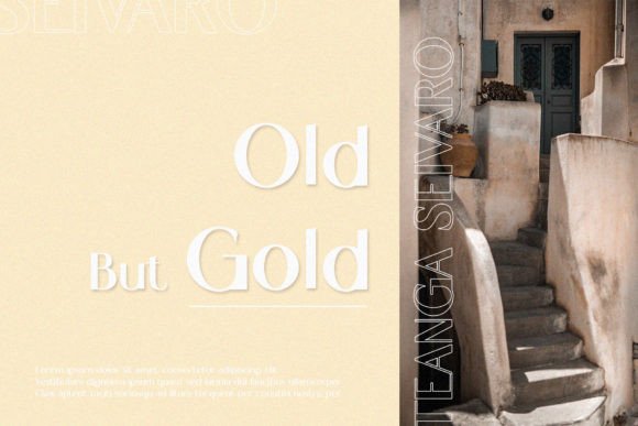 Dilovi Font - Preview 4