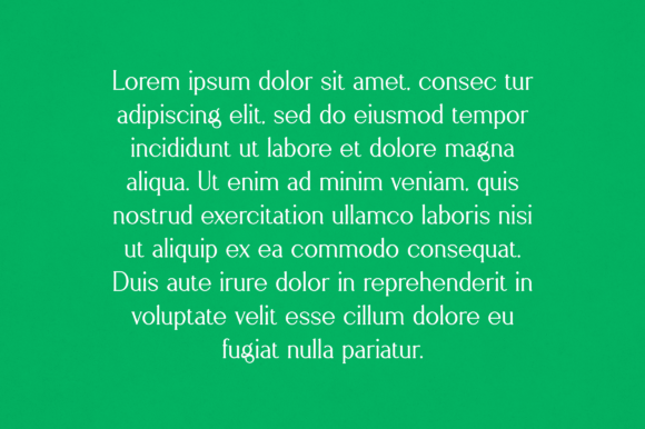 Fern Font - Preview 2
