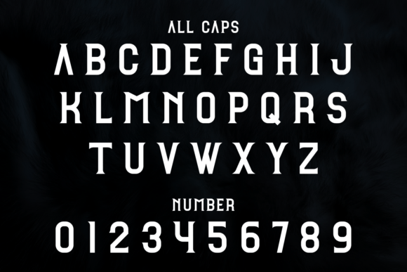 Fetire Font PNG with transparent background - Preview 2
