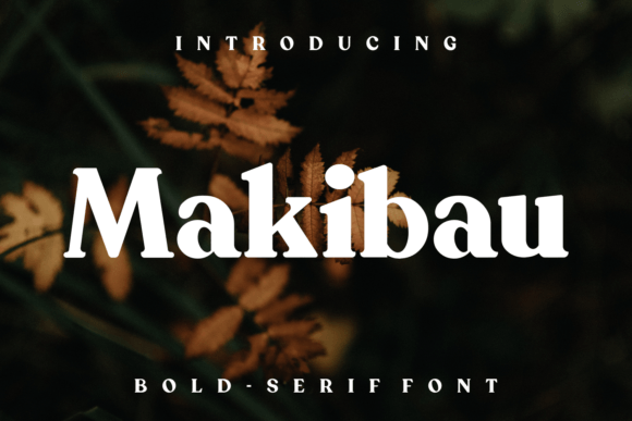 Makibau Serif Font By lelevien