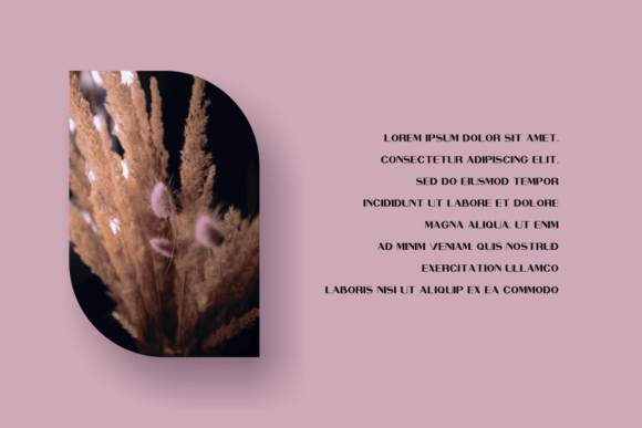 Mizary Font PNG with transparent background - Preview 3
