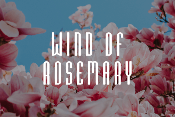 Rapella Font PNG with transparent background - Preview 2