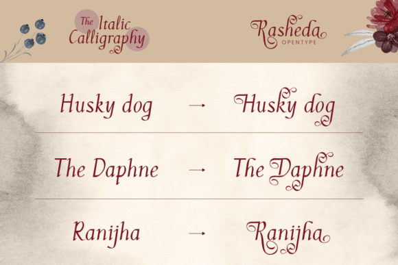 Rasheda Font PNG with transparent background - Preview 4
