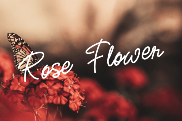 Rastico Font font preview - 1