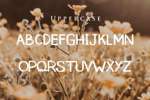 Acorza Font - Preview 2