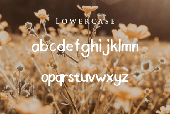 Acorza Font - Preview 3
