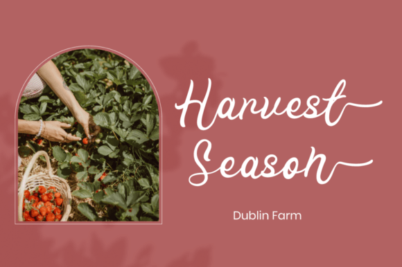 Pink Farmhouse Font font preview - 1