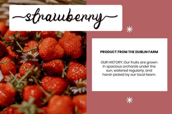 Pink Farmhouse Font font preview - 3
