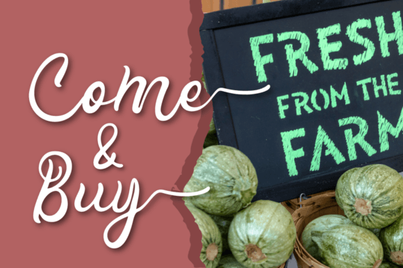 Pink Farmhouse Font font preview - 4