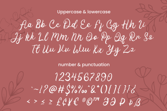 Pink Farmhouse Font font preview - 5