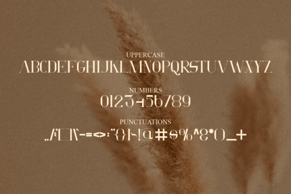 Qiranti Font PNG with transparent background - Preview 2
