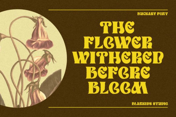 Buckary Font - Preview 1