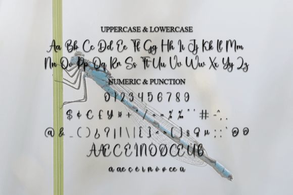 Dragonfly Font - Preview 5