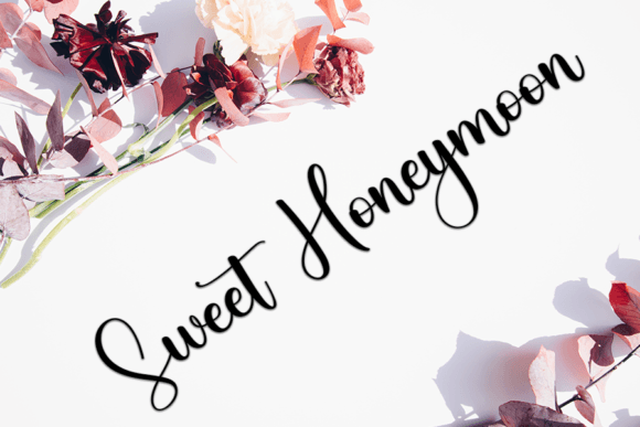 Family Font - Preview 4