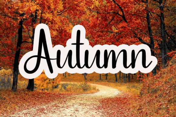 December Font - Preview 3