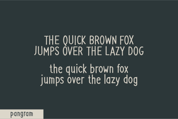 Accessible Font - Preview 3
