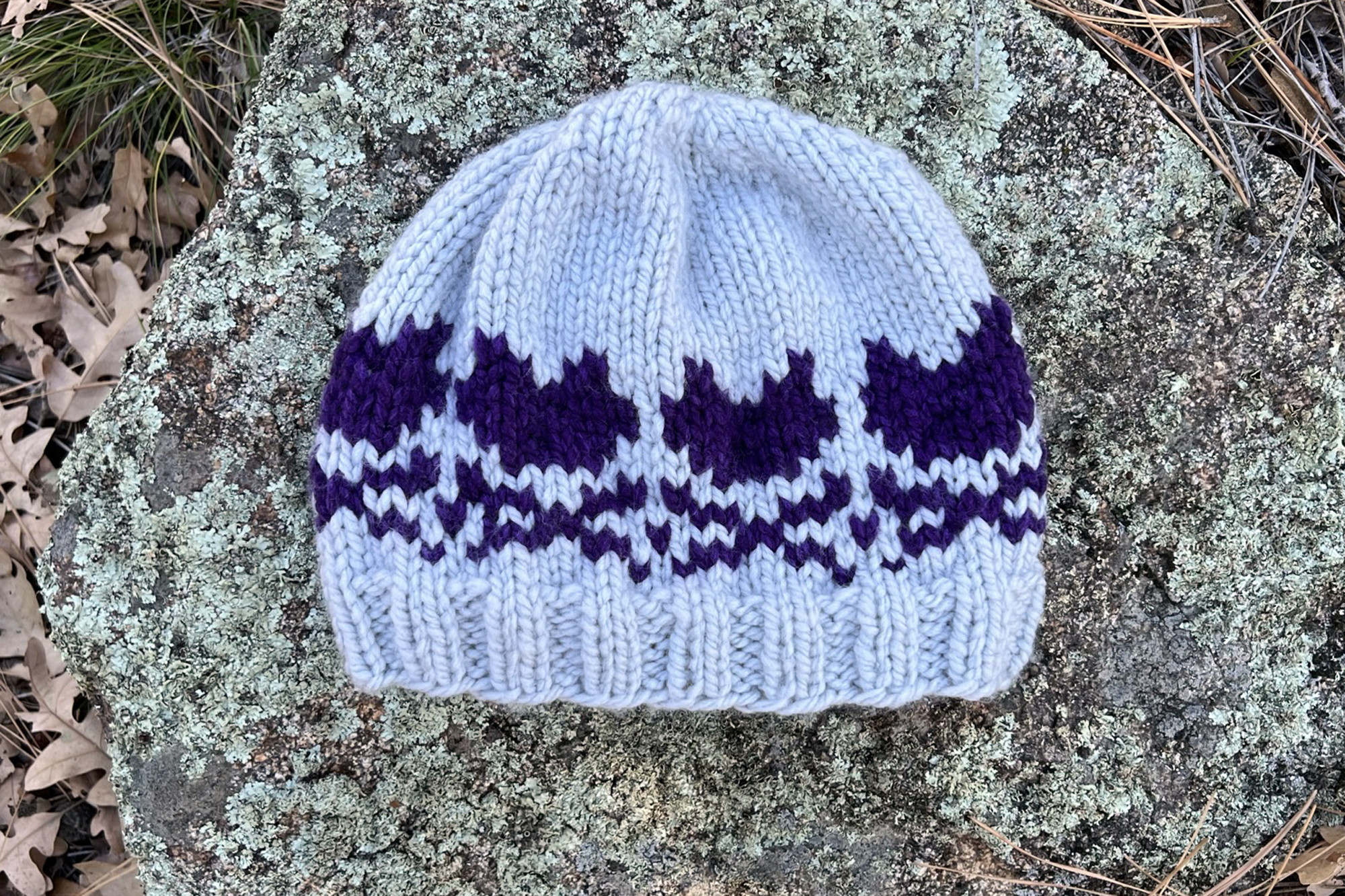 Kitty and Crossbones Knit Beanie Pattern