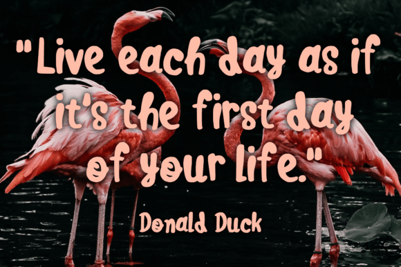 Cute Flamingo Font PNG with transparent background - Preview 2