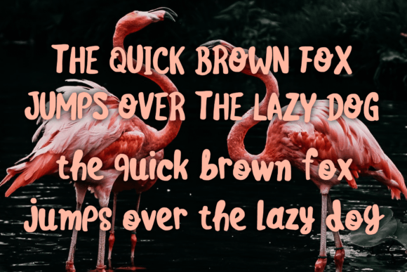 Cute Flamingo Font PNG with transparent background - Preview 3