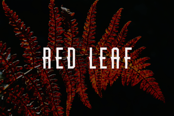 Kedleon Font PNG with transparent background - Preview 1