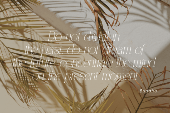 Serenity Moment Font PNG with transparent background - Preview 6